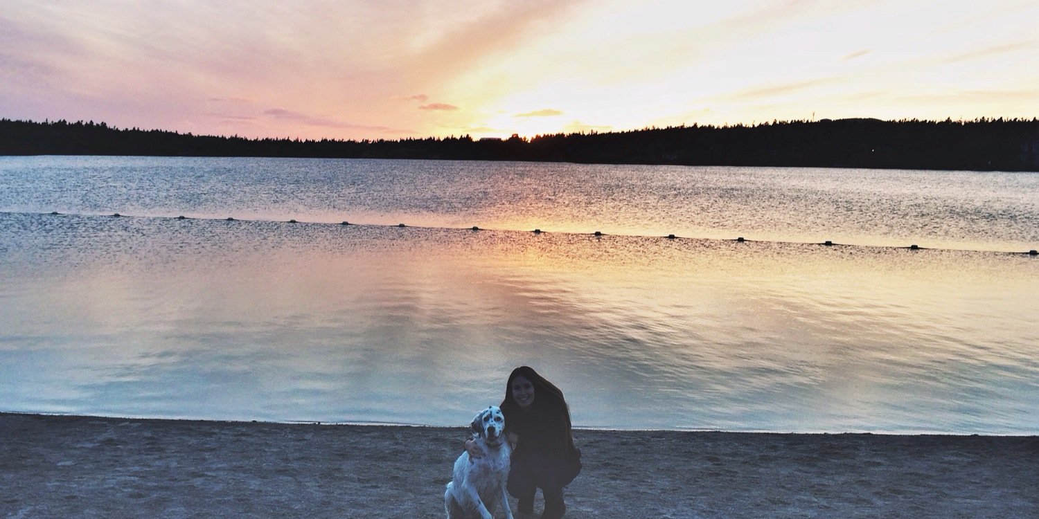 clairedobz's profile banner image