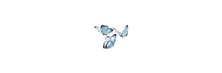 halfmonnnnlight's profile banner image