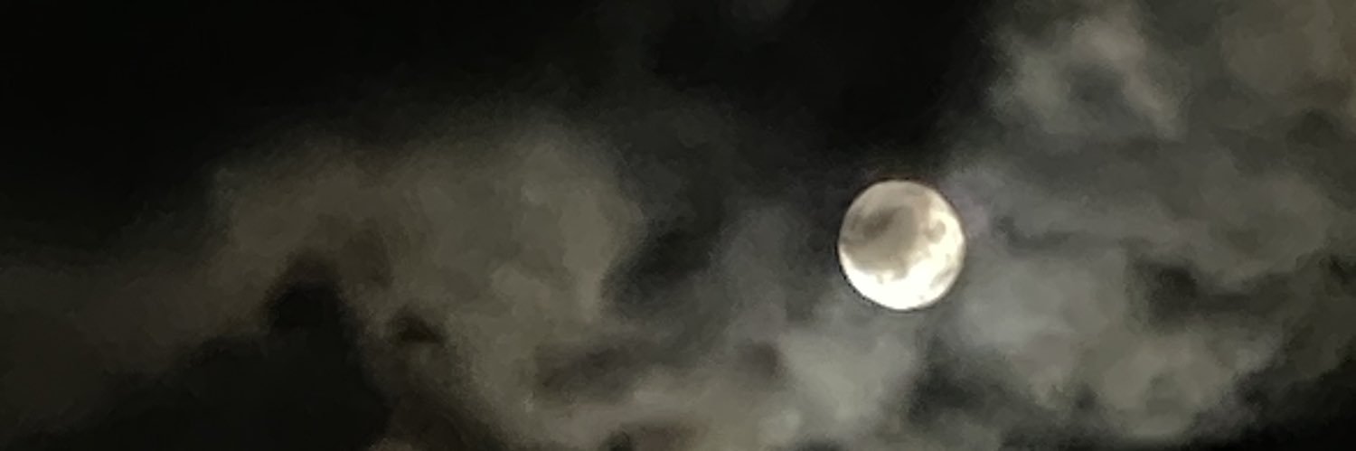 限界ちゃん banner