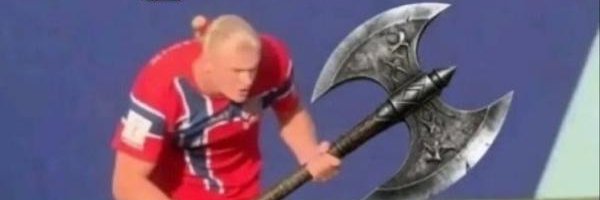 Tripaloski banner