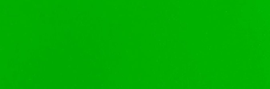 fuck you. banner