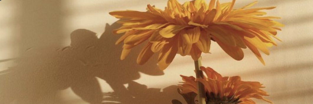 monQr's profile banner image