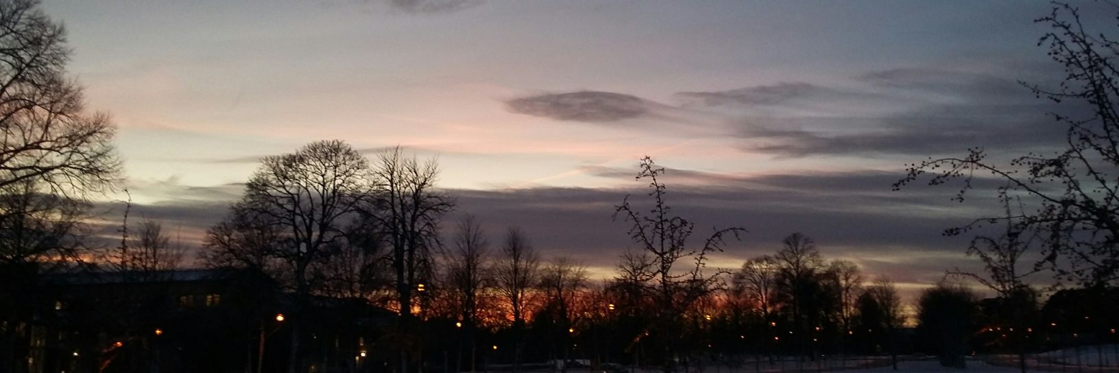 Martin Johnsson banner