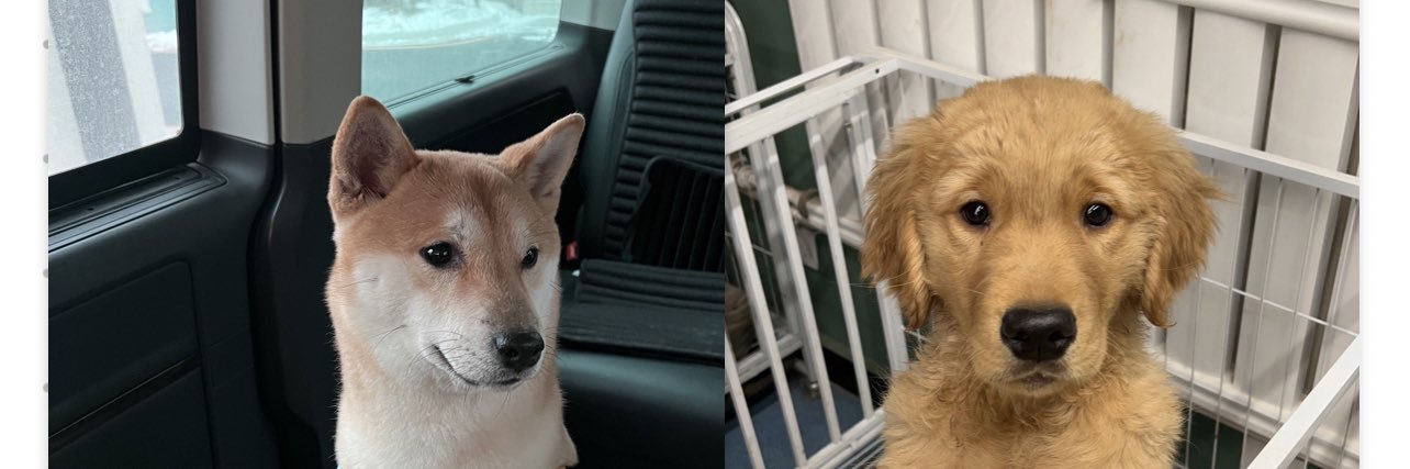 NonStopRunning banner