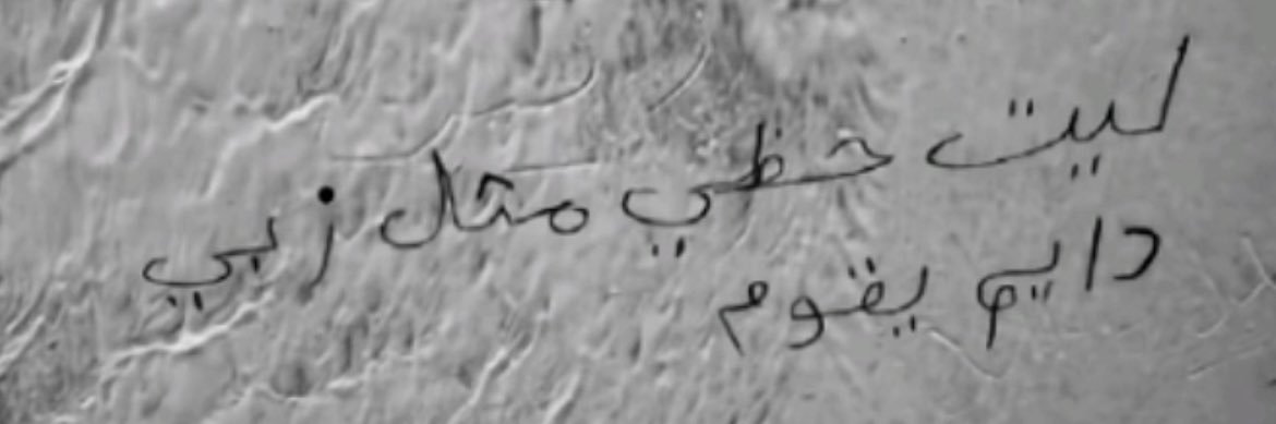 تركي البيشي banner