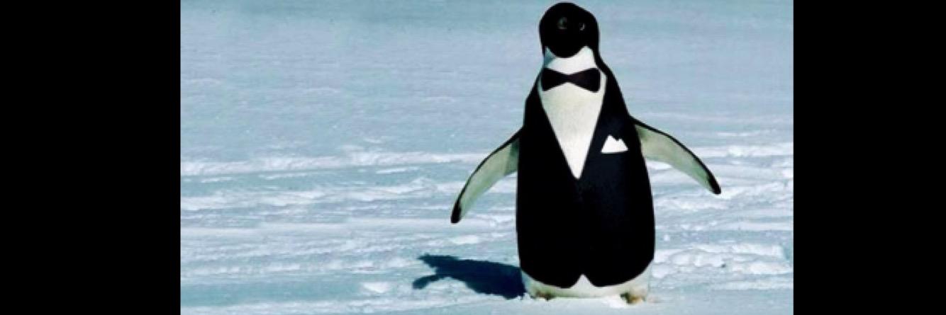 I’m hungry. banner