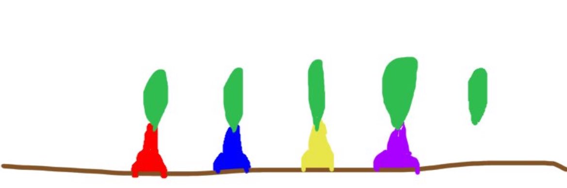 カゼチャイ banner