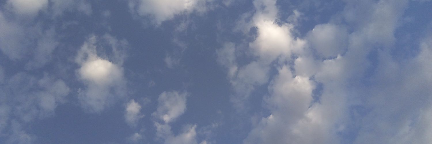 cvcv1661's profile banner image