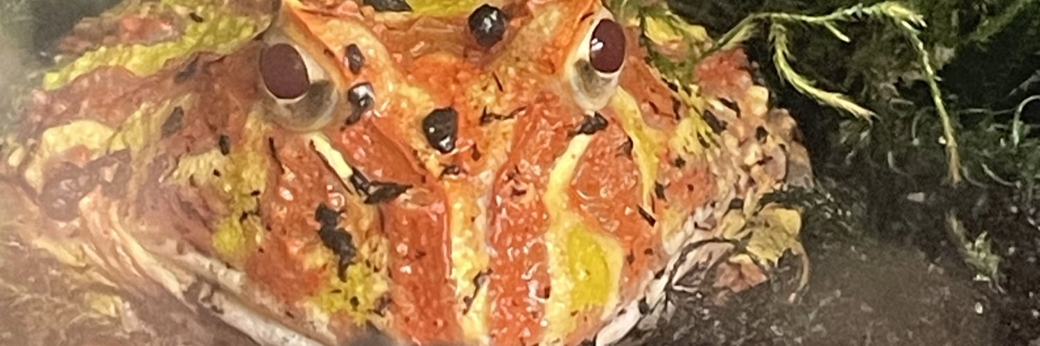 MysteryTookie23 banner