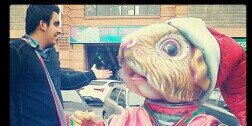 danibupa's profile banner image