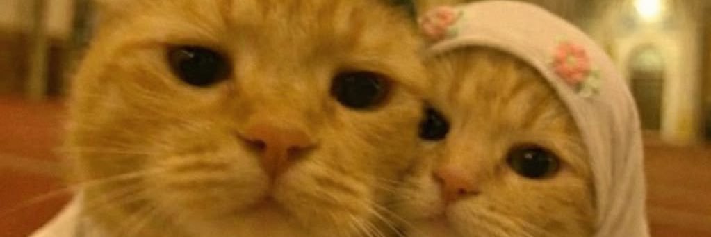 nfinityempire banner