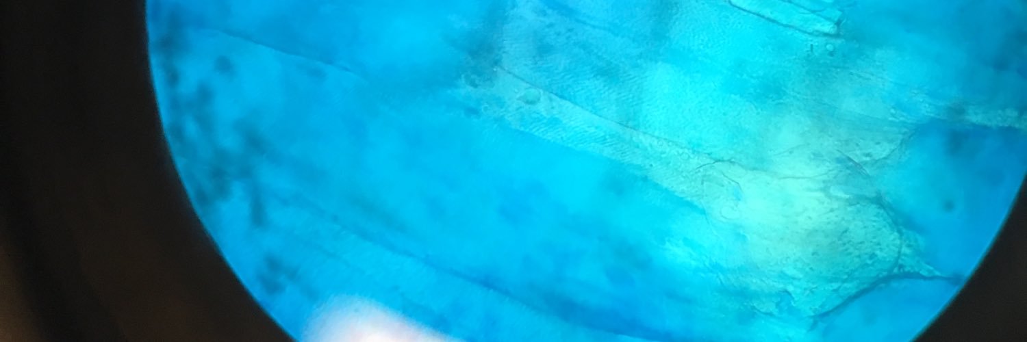 valaroff's profile banner image