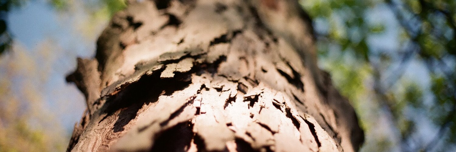 maxpallen's profile banner image