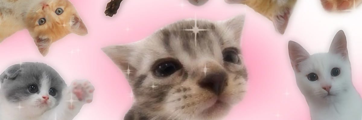 jae🪽€Dtwt banner