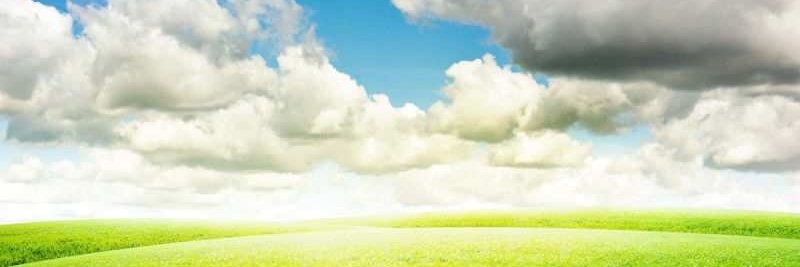 ocnuongoc's profile banner image