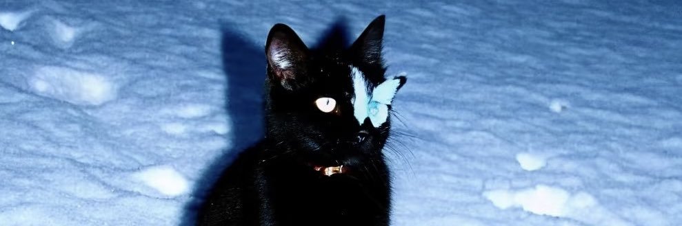 𝗼𝗯𝘀𝗲𝘀𝘀𝗶𝗼𝗻. banner