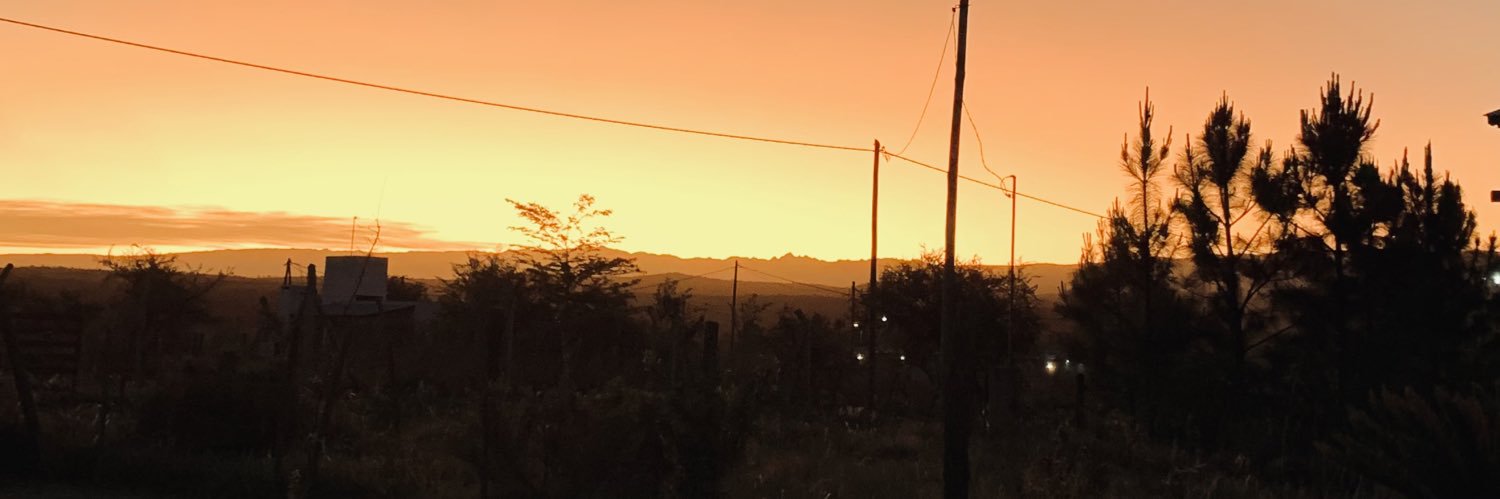 rizzi_lau's profile banner image