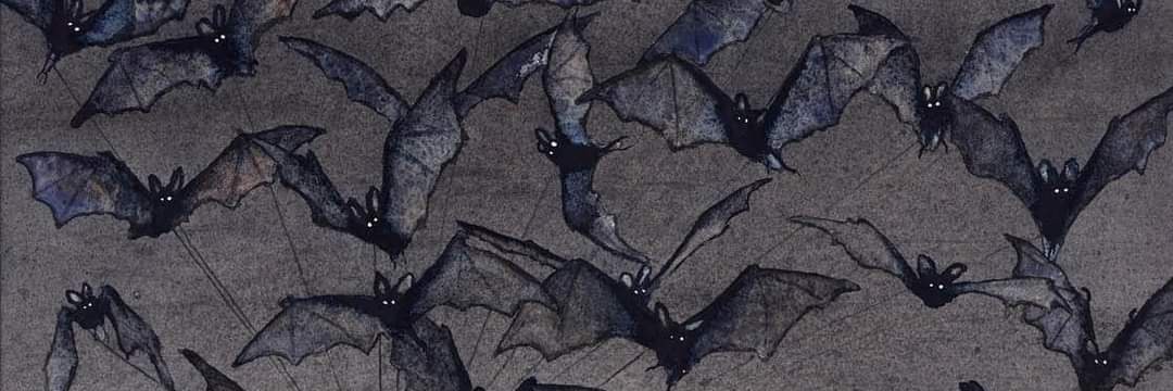 𝕷𝖆𝖉𝖞 𝕬 🦇's banner