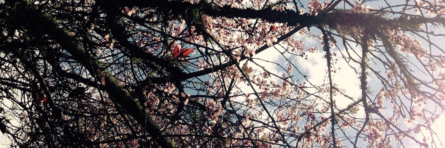 Dafnee88's profile banner image