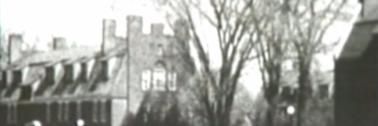 acornyn's profile banner image