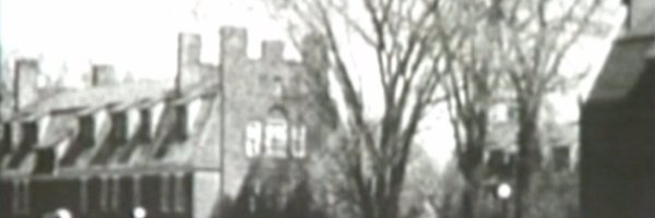 acornyn Profile Banner