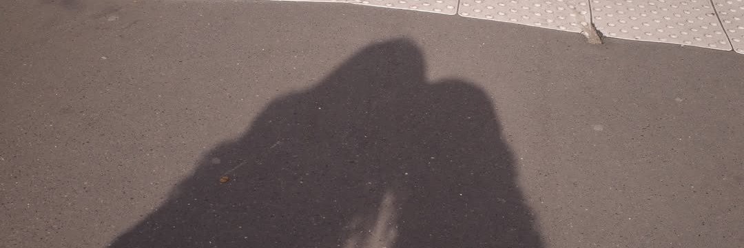 httpsgweny's profile banner image