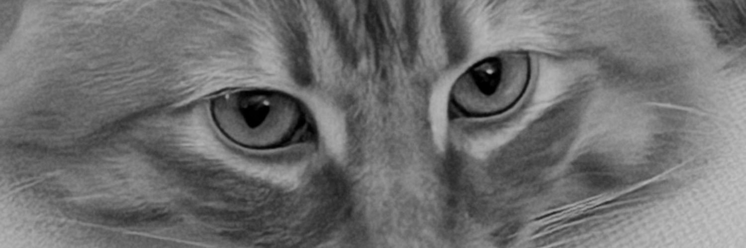 fer, only fer banner