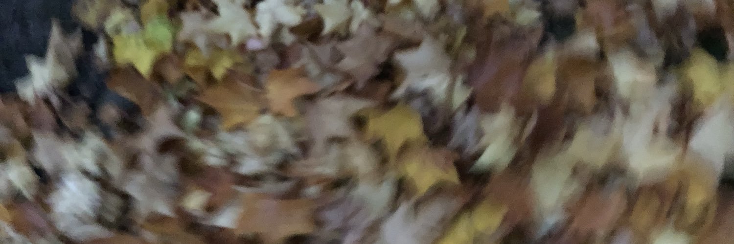 Stefanie Farr banner