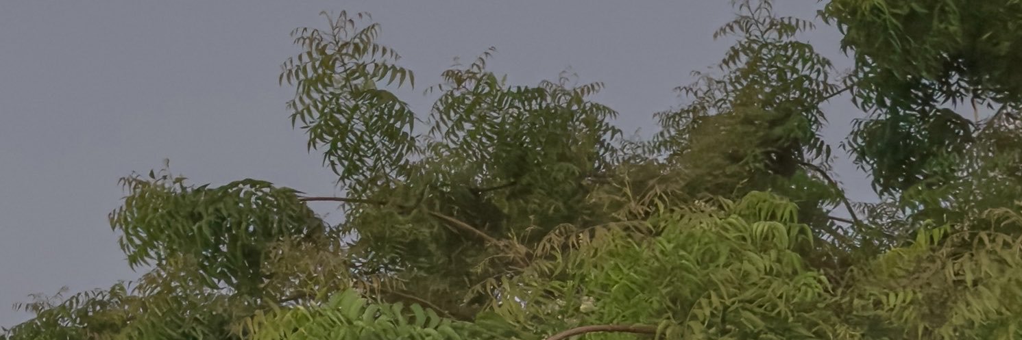 bn_ly68830's profile banner image