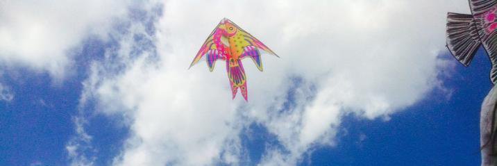 pris_pantoja's profile banner image