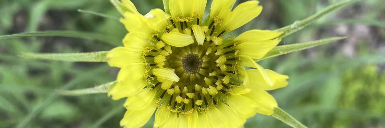 ⛏️🌱Don Kackman 🌱⛏️ banner