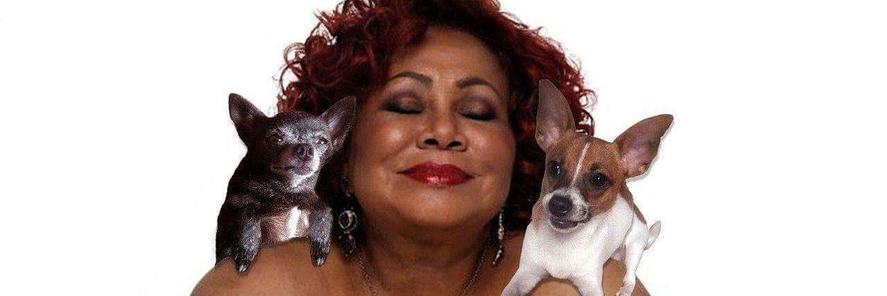 aoutrafernanda's profile banner image