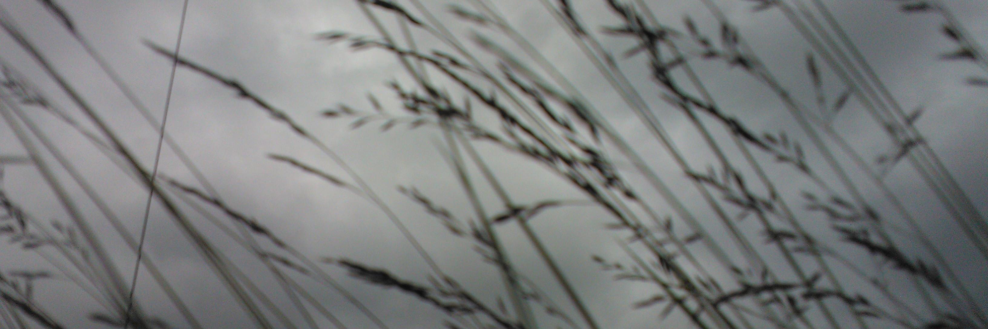 Whatisthename's profile banner image