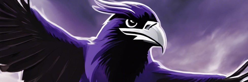 Ravens Wizard banner