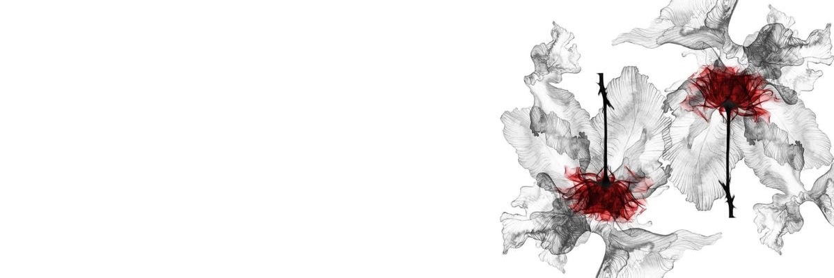 bentley ✮ banner