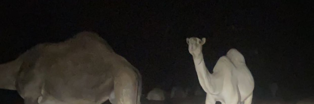 wenmbs's profile banner image