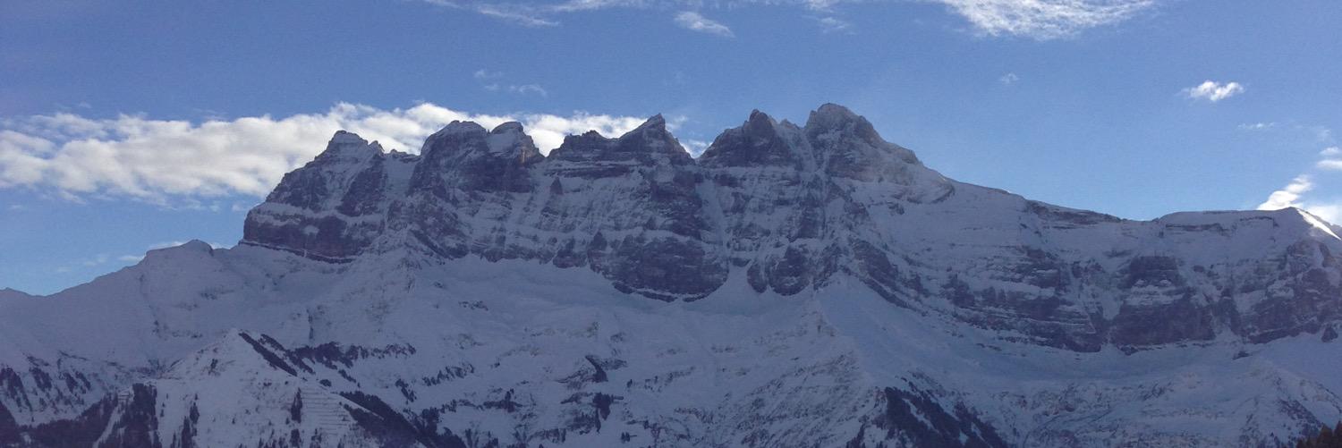 Robert A. Picard banner