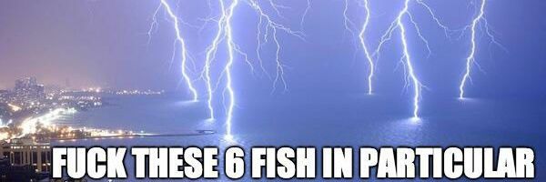 Steve banner