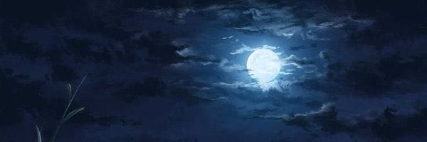 QalaFahim Profile Banner