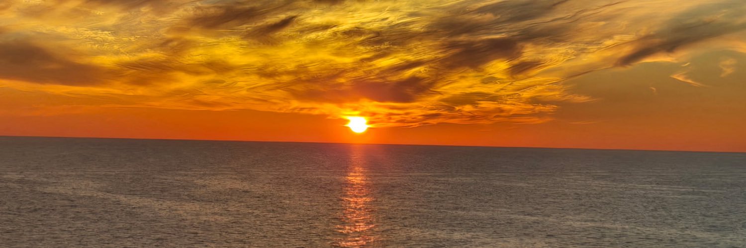 Rich Studley, Michigander banner