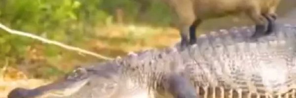 s3rumCS Profile Banner