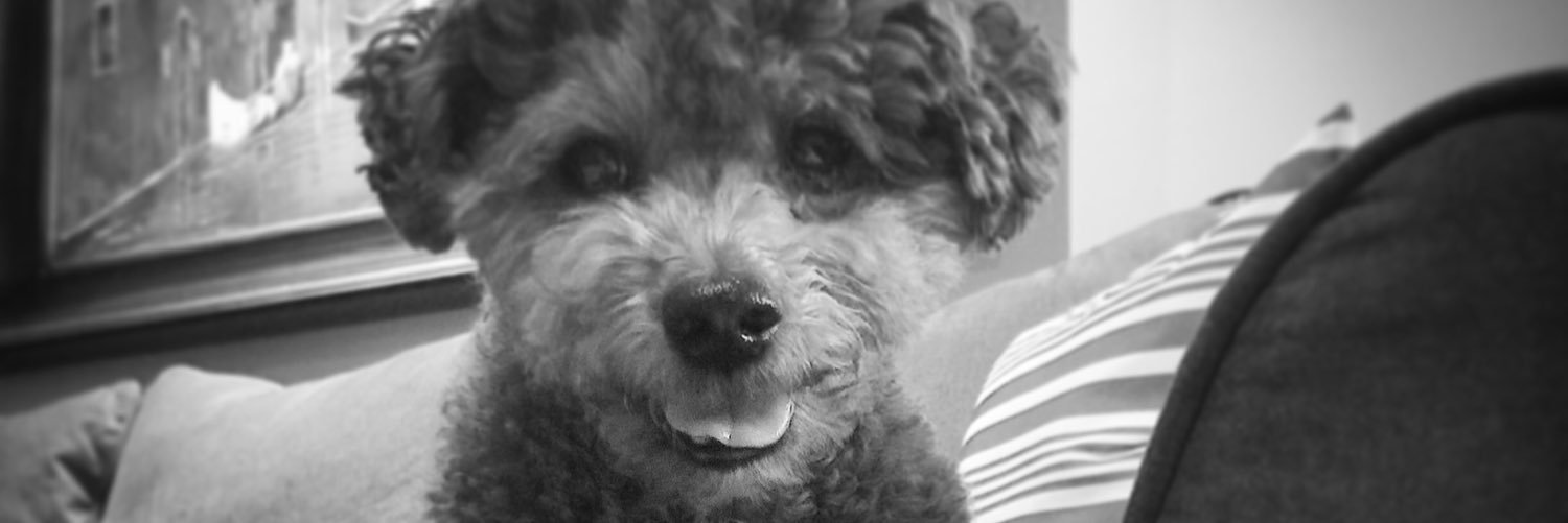 KendalSummers's profile banner image