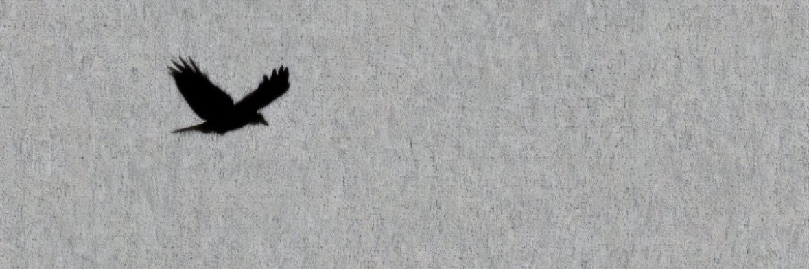 meme173881's profile banner image