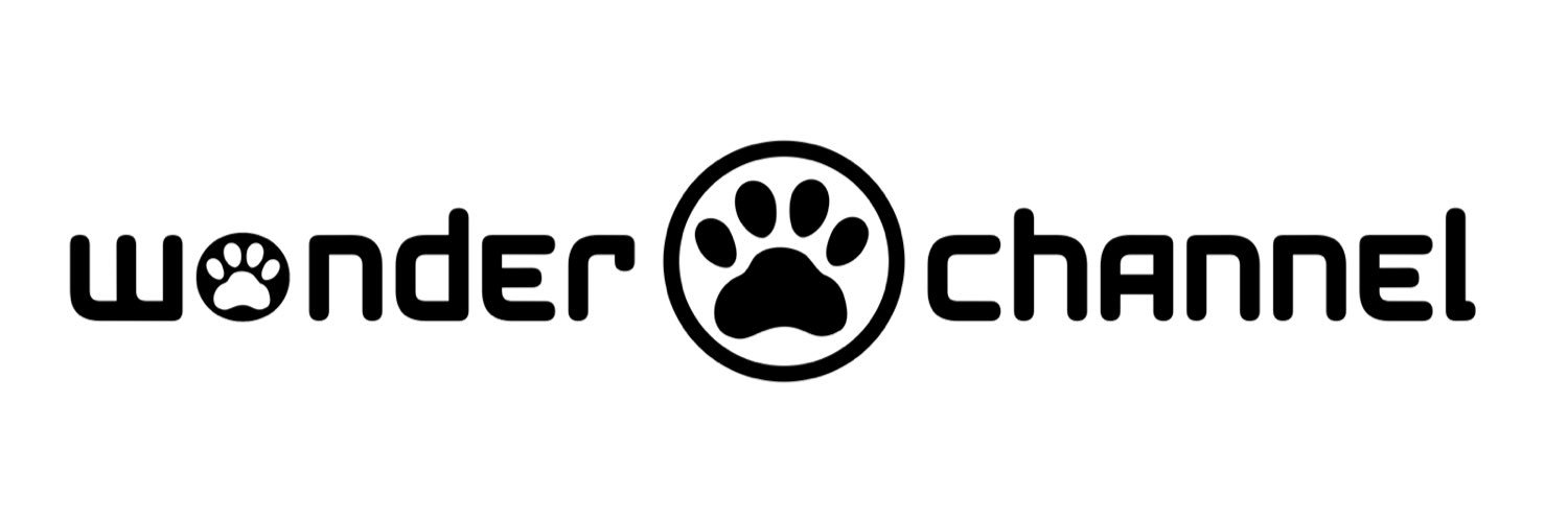 佐々木りな🍵🐶【wonder channel】 banner