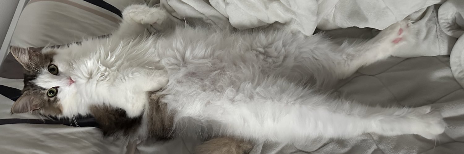 Sun_sharp's profile banner image