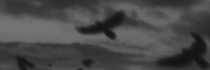 cometa_2866's profile banner image