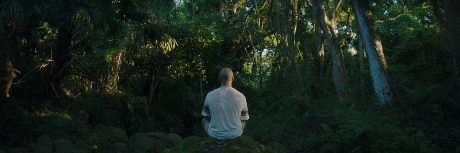 Nima Sotoadeh banner