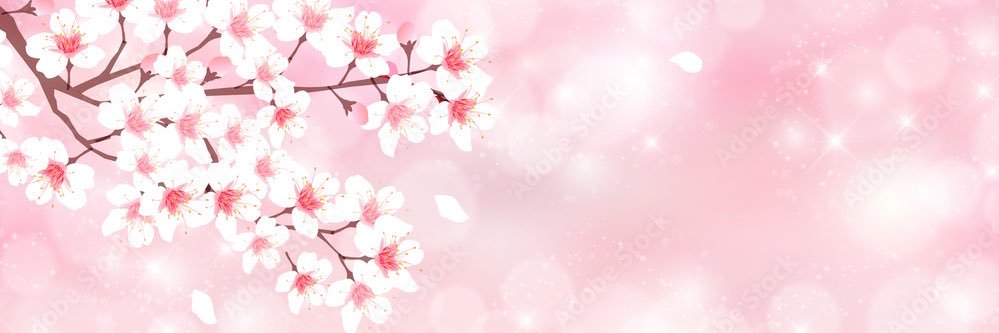 🌸 banner