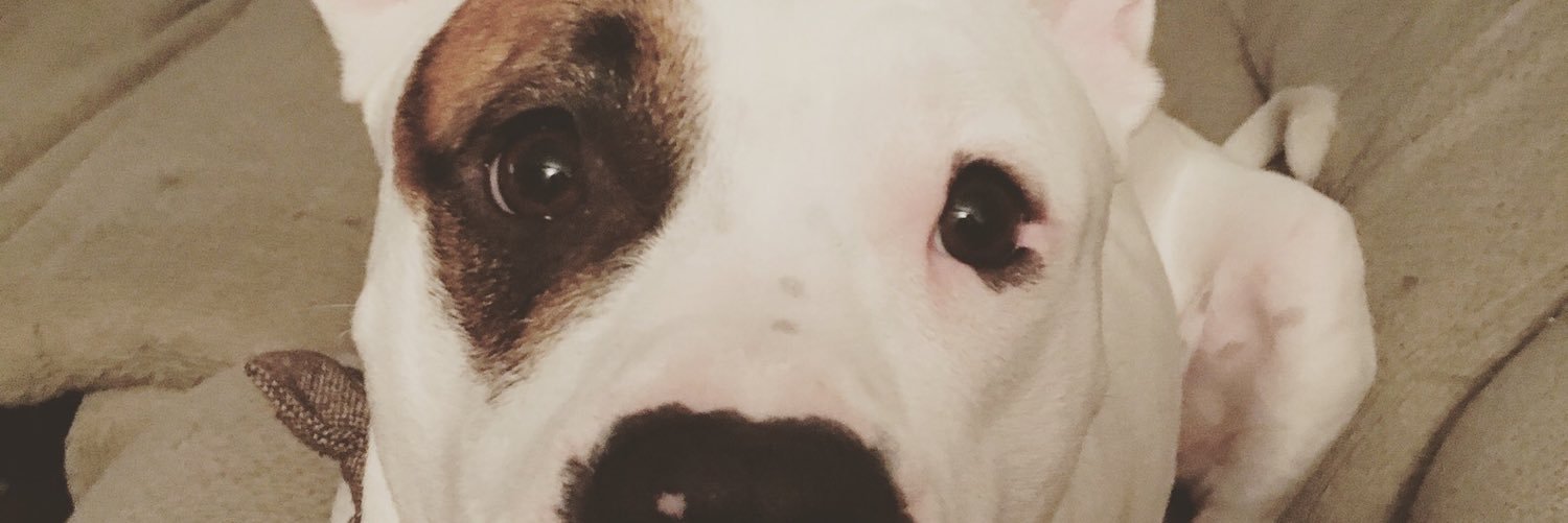 jennaShay's profile banner image