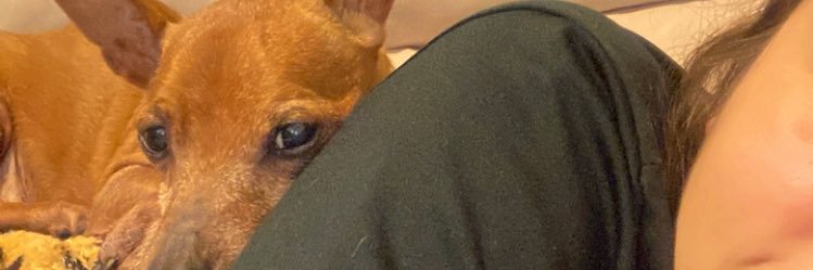 Arymach's profile banner image